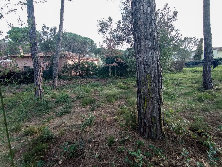 LAND WITH LOW SLOPE IN LLAGOSTERA